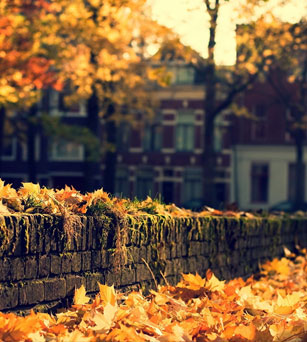 首页-服务平台入第1排-1行3个