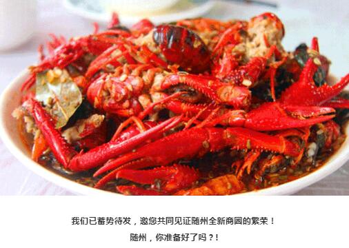  /></p>
<p> </p>
<p><strong>我们已蓄势待发，邀您共同见证随州全新商圈的繁荣！</strong></p>
<p><strong>随州，你准备好了吗？!</strong></p>
  
 
    
 
  <div   id=