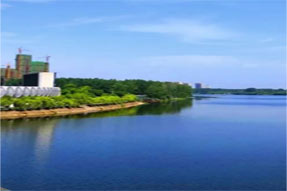 随州万达广场 | 千千水岸三期臻美园林 内外奢享