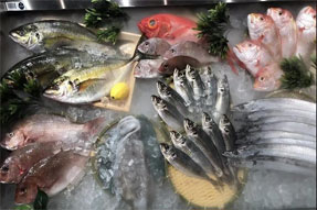 以溯源追踪生鲜安全，海上鲜为国内水产崛起赋能！