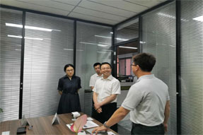 成都市龙泉驿区副区长杨伟一行莅临清研微视参观考察